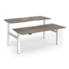 Elev8 Luxe Sit-Stand Back-To-Back Desks 1800mm x 800mm - White Frame / Nebraska Oak Top - EVLB-1800-WH-NO