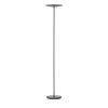 Halsey LED floor lamp Uplighter - Black - HAFL